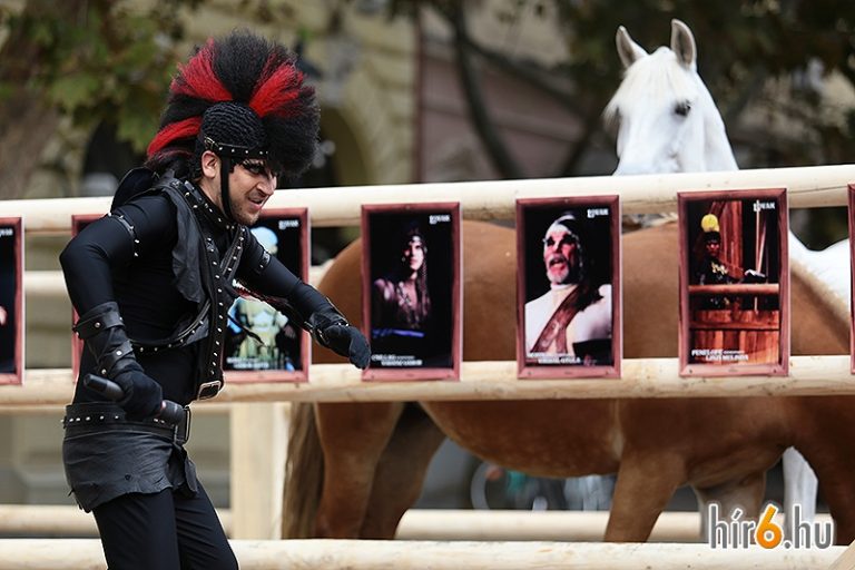 46595_img_8496_large_normal 46595_img_8496_large_normal