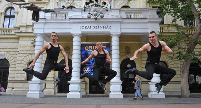 254650_fricska1 254650_fricska1