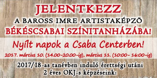 szinitanhaz_plakat_2017_vagott