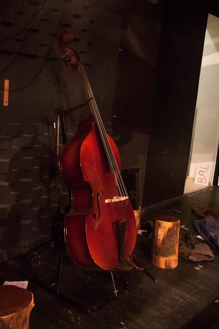 osvigasztalas_disz_005