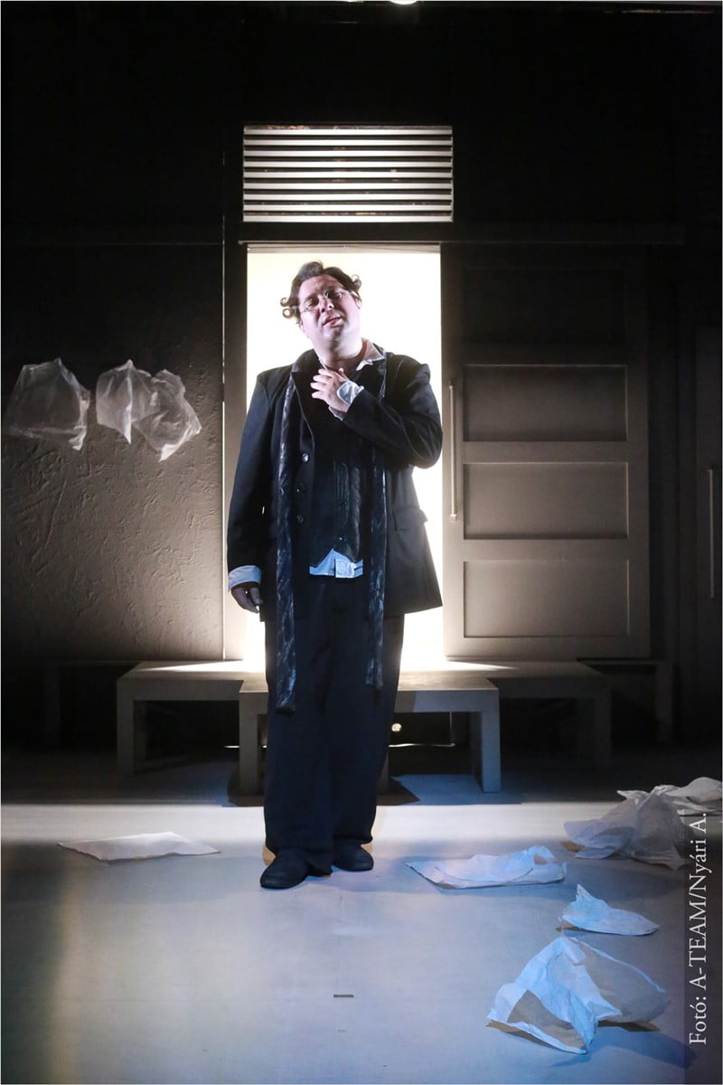 egy_orult_naploja_jelmez_001