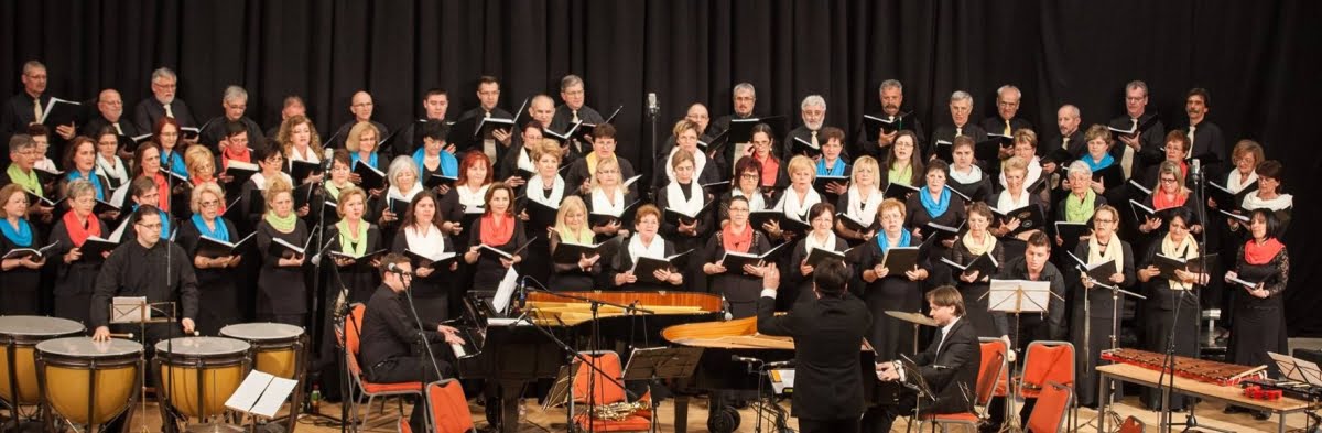 17632244_1323230917731489_8906134950168433588