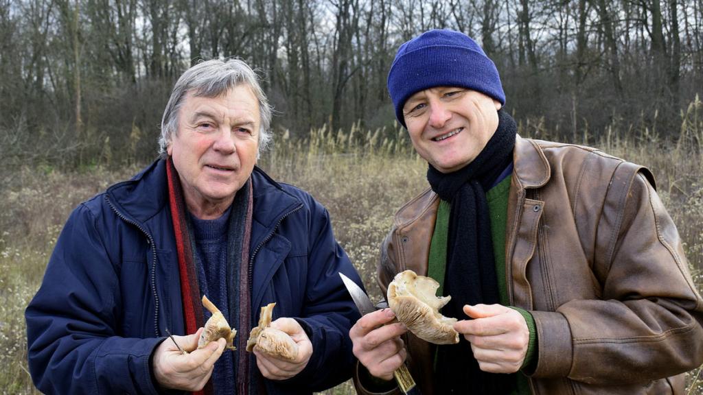 201225bartus_tomanek6-1024x576