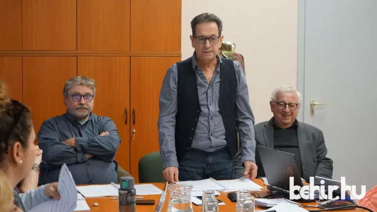 Bolondok_olvasó_behir